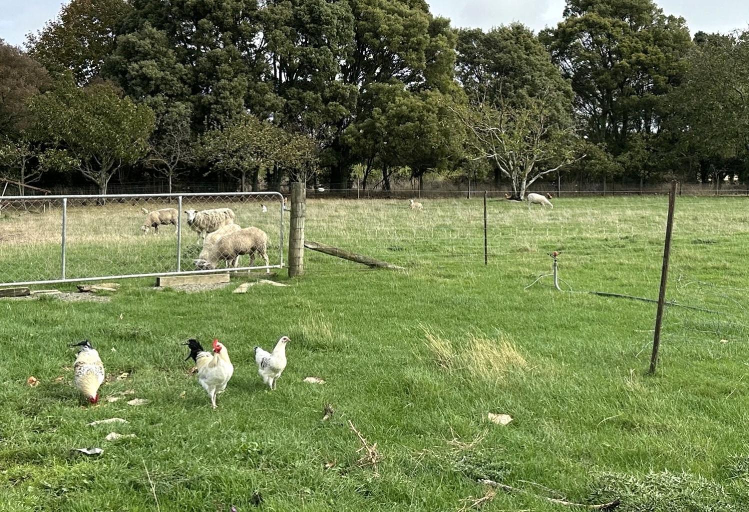 Country Retreats On Ranzau 9 Hope Exterior foto